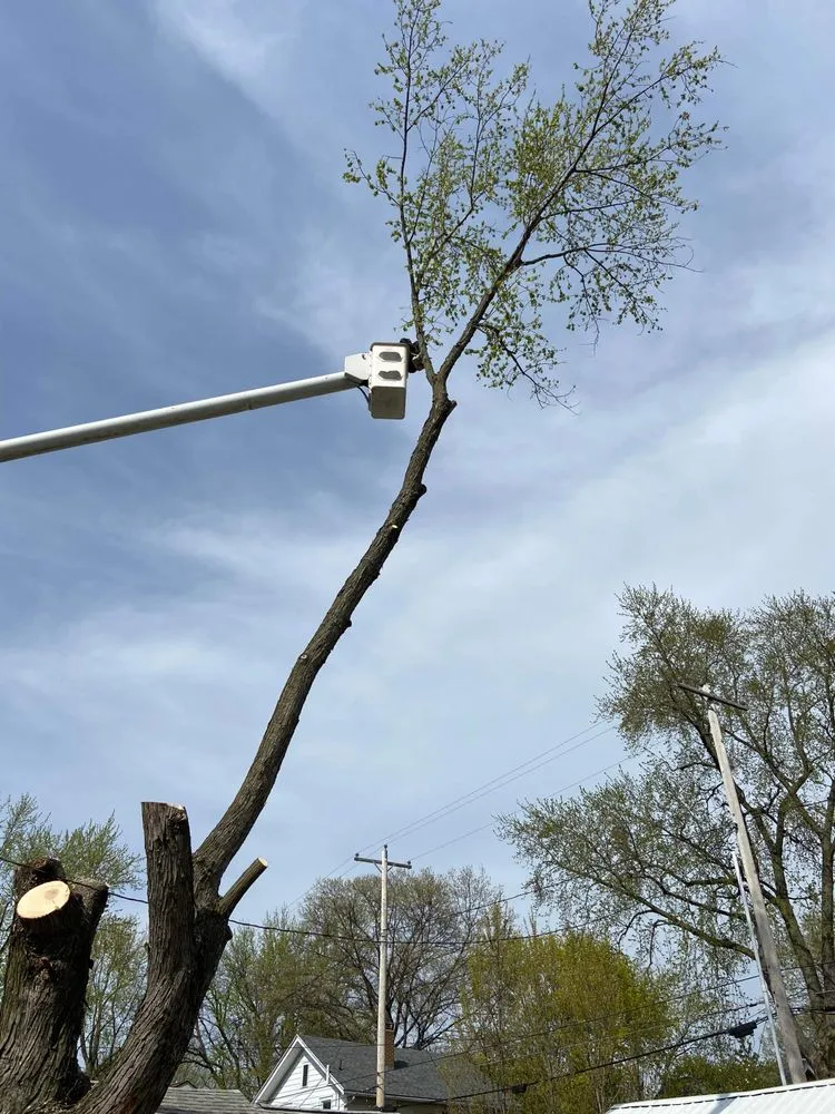 Affordable yard maintenance with custom design in Fort Wayne, IN by Making The Cut