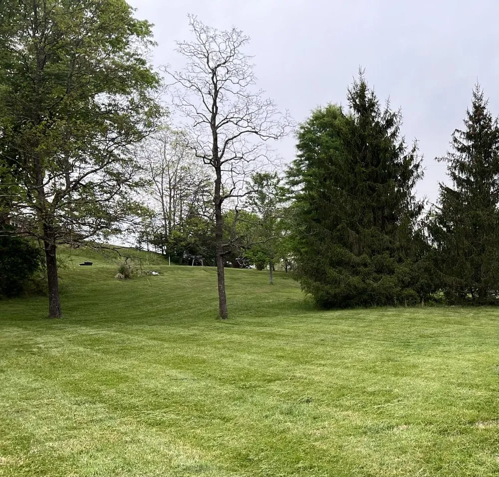 Trusted landscaping services for beautiful yards across Buchanan, VA - Making The Cut Lawn Care