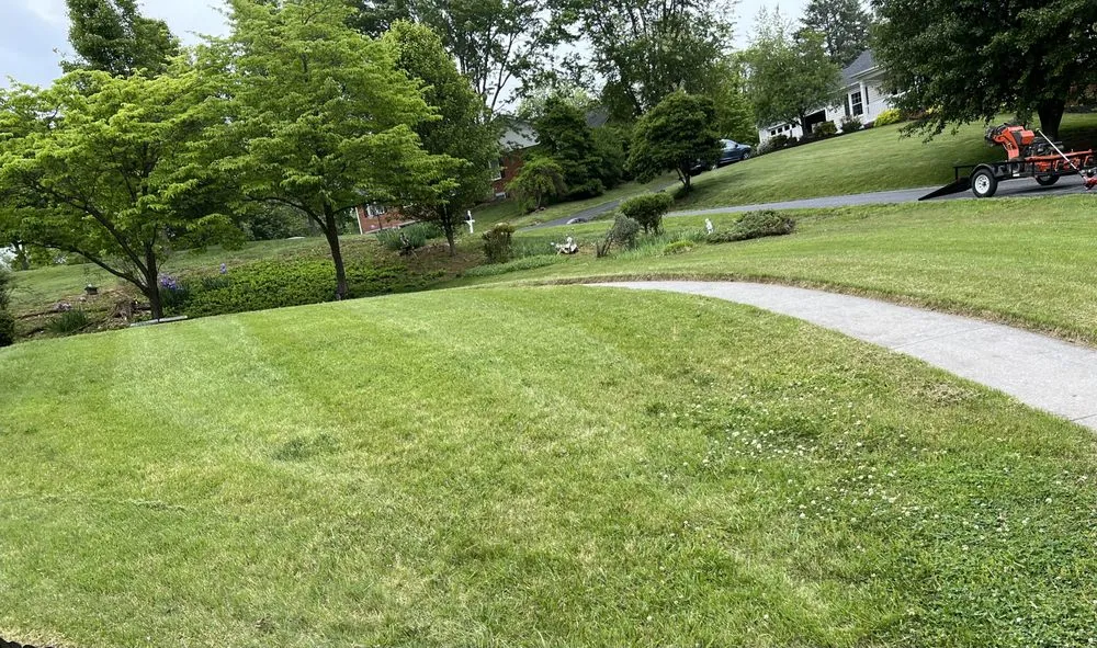 Reliable lawn mowing service for residential properties across Buchanan, VA - Making The Cut Lawn Care