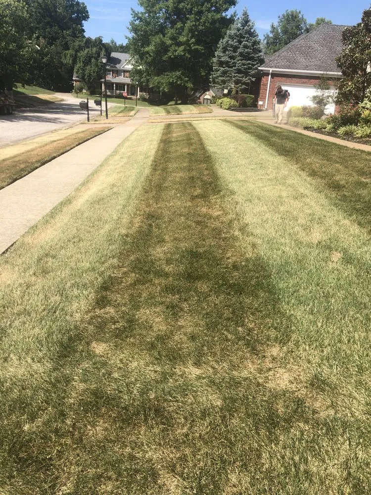 Affordable landscape design in Louisville, KY - Makk Landscaping