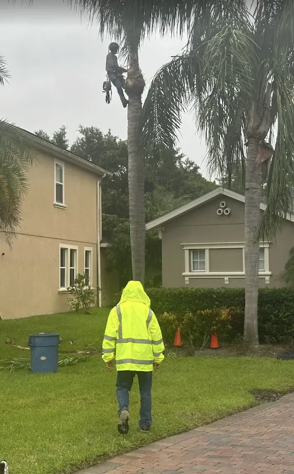 Affordable residential landscaping for outdoor upgrades across Chuluota, FL - Mako Brothers