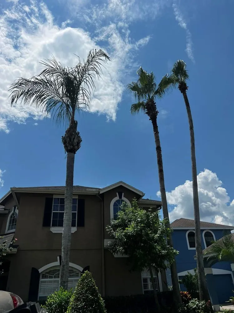 Reliable landscape installation for residential properties in Chuluota, FL by Mako Brothers