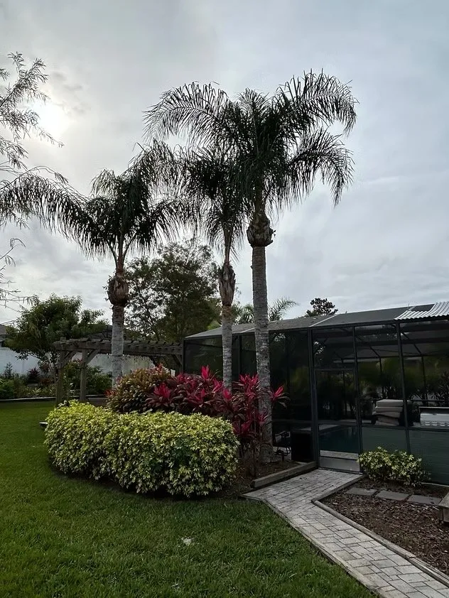 Professional landscaping services in Chuluota, FL - Mako Brothers