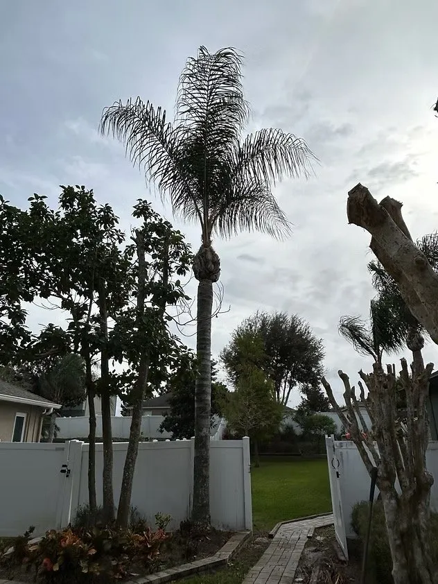 Reliable landscape design experts serving Chuluota, FL - Mako Brothers