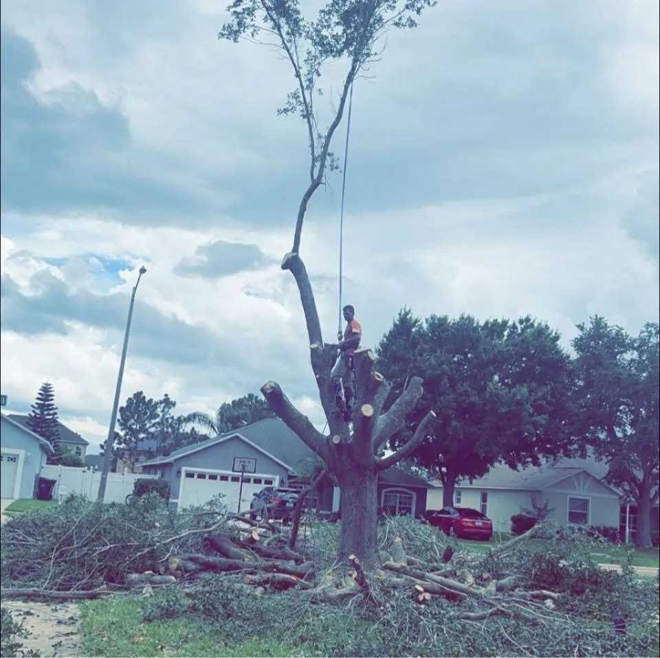 Affordable landscape installation with custom design in Chuluota, FL by Mako Brothers