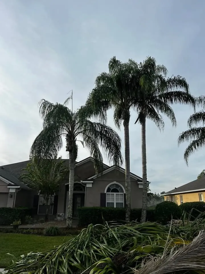 Professional outdoor landscaping in Chuluota, FL - Mako Brothers
