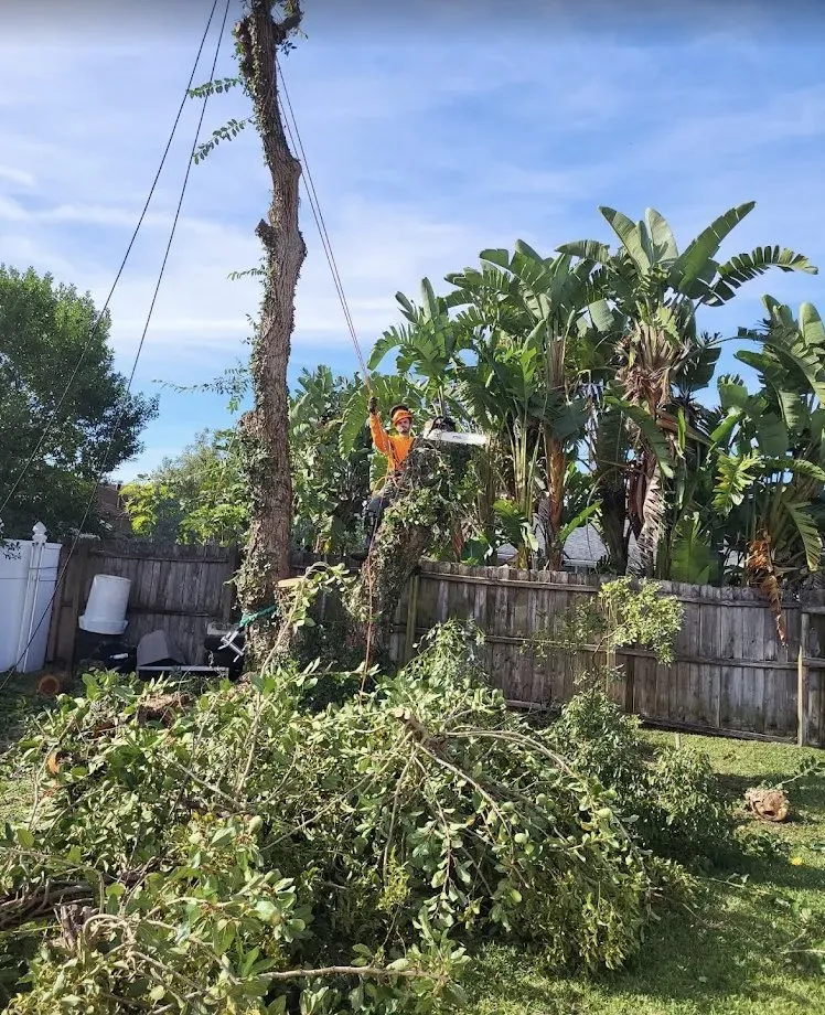 Affordable residential landscaping experts serving Chuluota, FL - Mako Brothers