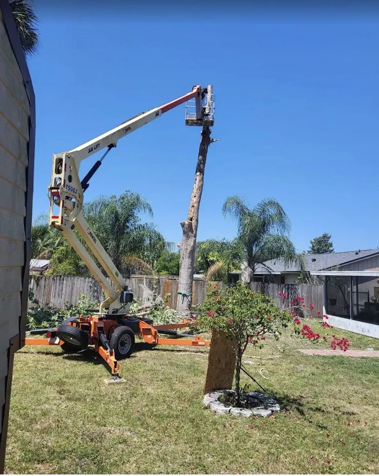 Expert landscaping services near you in Chuluota, FL by Mako Brothers