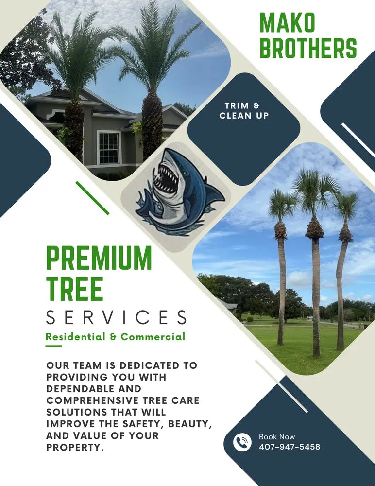 Reliable yard maintenance for year-round maintenance across Chuluota, FL - Mako Brothers