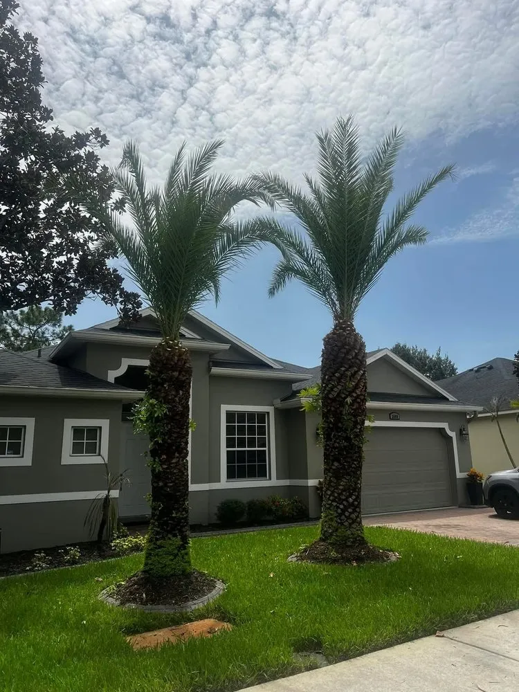 Custom lawn care service for beautiful yards across Chuluota, FL - Mako Brothers