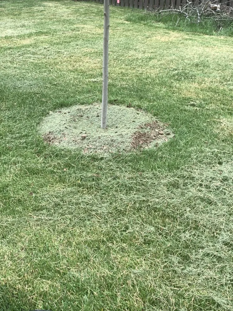 Top-rated outdoor landscaping for homes across Huntsville, AL - Mako Lawn Care