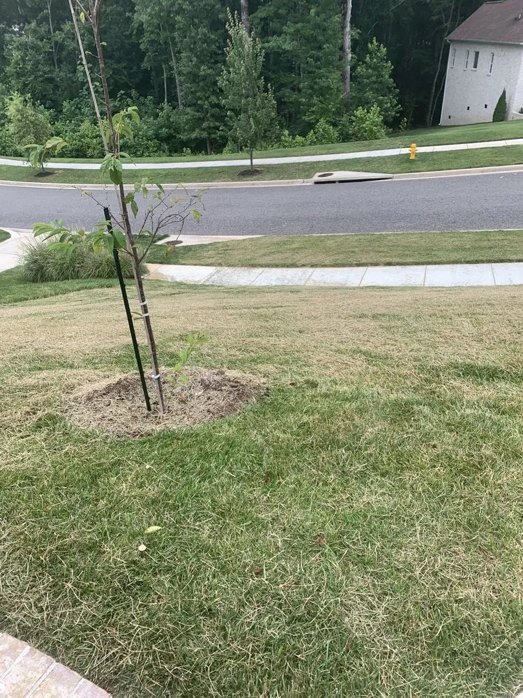 Custom outdoor landscaping in Huntsville, AL - Mako Lawn Care