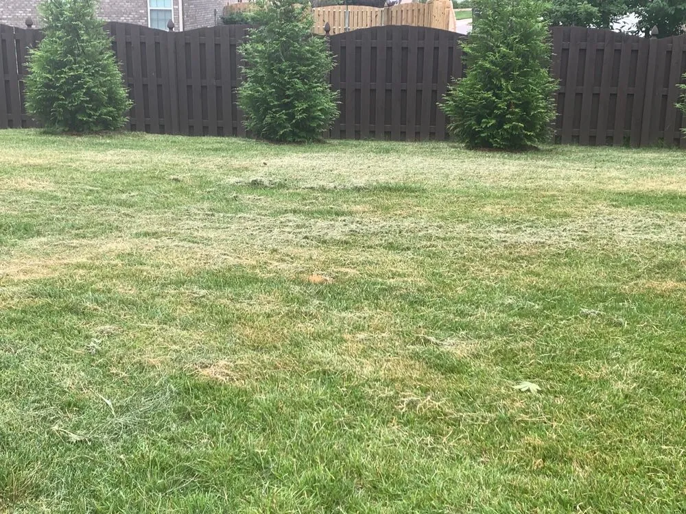 Top-rated lawn mowing service in Huntsville, AL - Mako Lawn Care