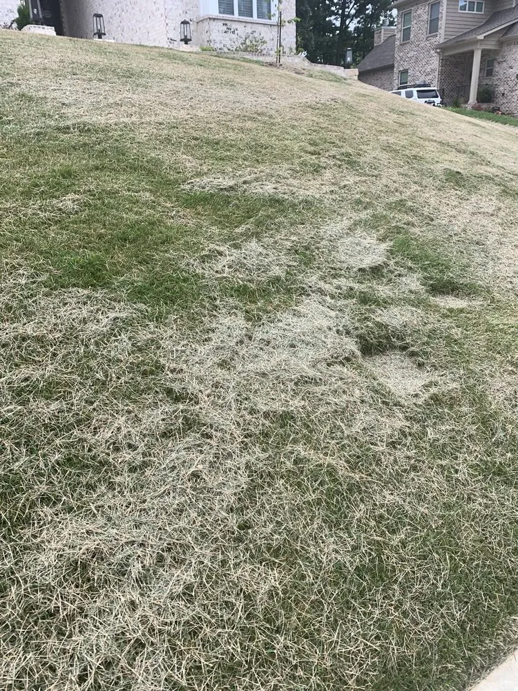 Affordable lawn care service in Huntsville, AL - Mako Lawn Care