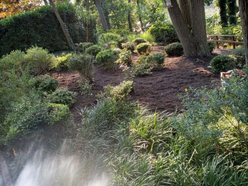 Local outdoor landscaping in Capitol Heights, MD by Mal & Moe Sun Up Till Sundown Landscaping