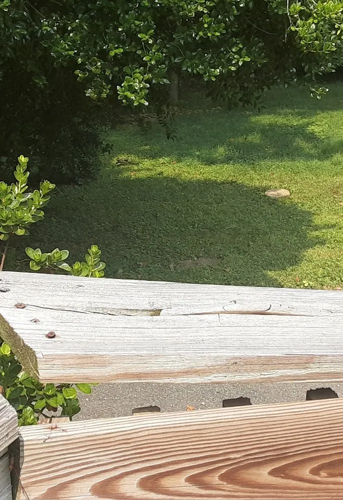 Trusted yard cleanup service in Capitol Heights, MD by Mal & Moe Sun Up Till Sundown Landscaping