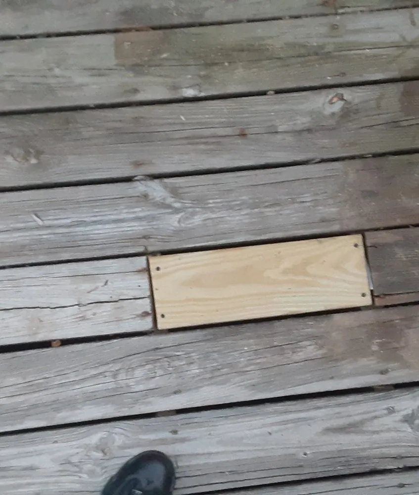 Local lawn mowing service experts serving Capitol Heights, MD - Mal & Moe Sun Up Till Sundown Landscaping