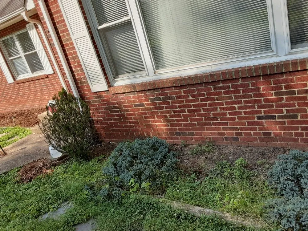 Expert yard cleanup service for beautiful yards across Capitol Heights, MD - Mal & Moe Sun Up Till Sundown Landscaping