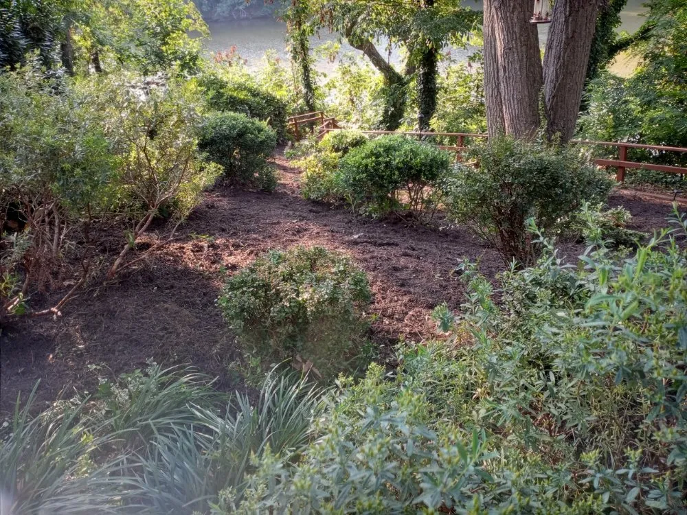 Reliable lawn care service experts serving Capitol Heights, MD - Mal & Moe Sun Up Till Sundown Landscaping