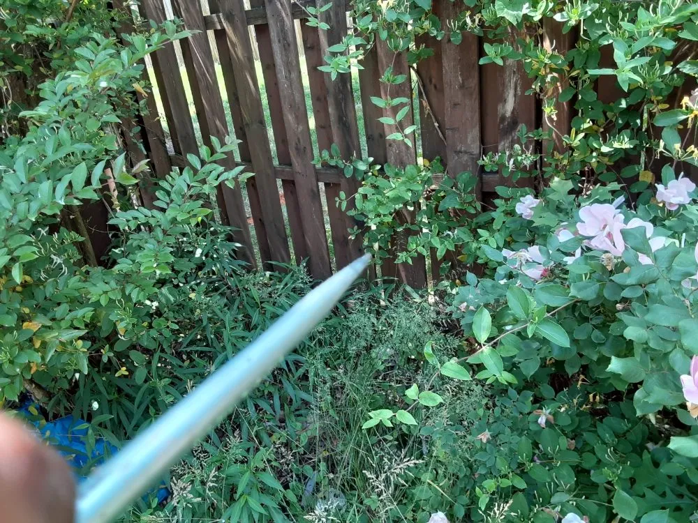 Custom garden landscaping experts serving Capitol Heights, MD - Mal & Moe Sun Up Till Sundown Landscaping