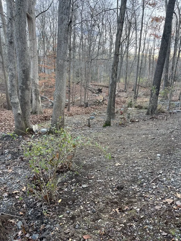 Local yard cleanup service experts serving East Stroudsburg, PA - Malachi’s Keystone Lawncare