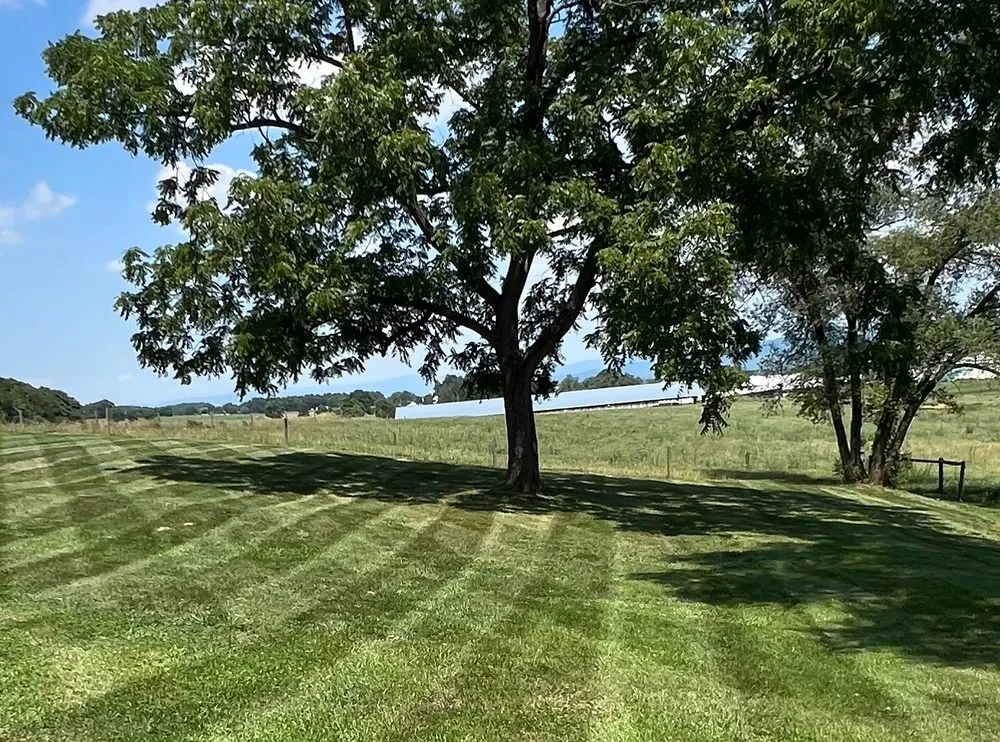 Local landscaping services for year-round maintenance across Mcgaheysville, VA - Malachi's Landscaping