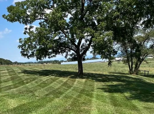 Malachi's Landscaping