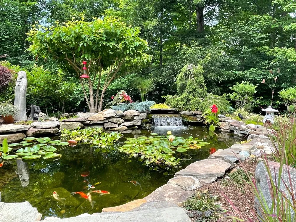 Trusted yard cleanup service for residential properties across Brecksville, OH - Malaga Designs