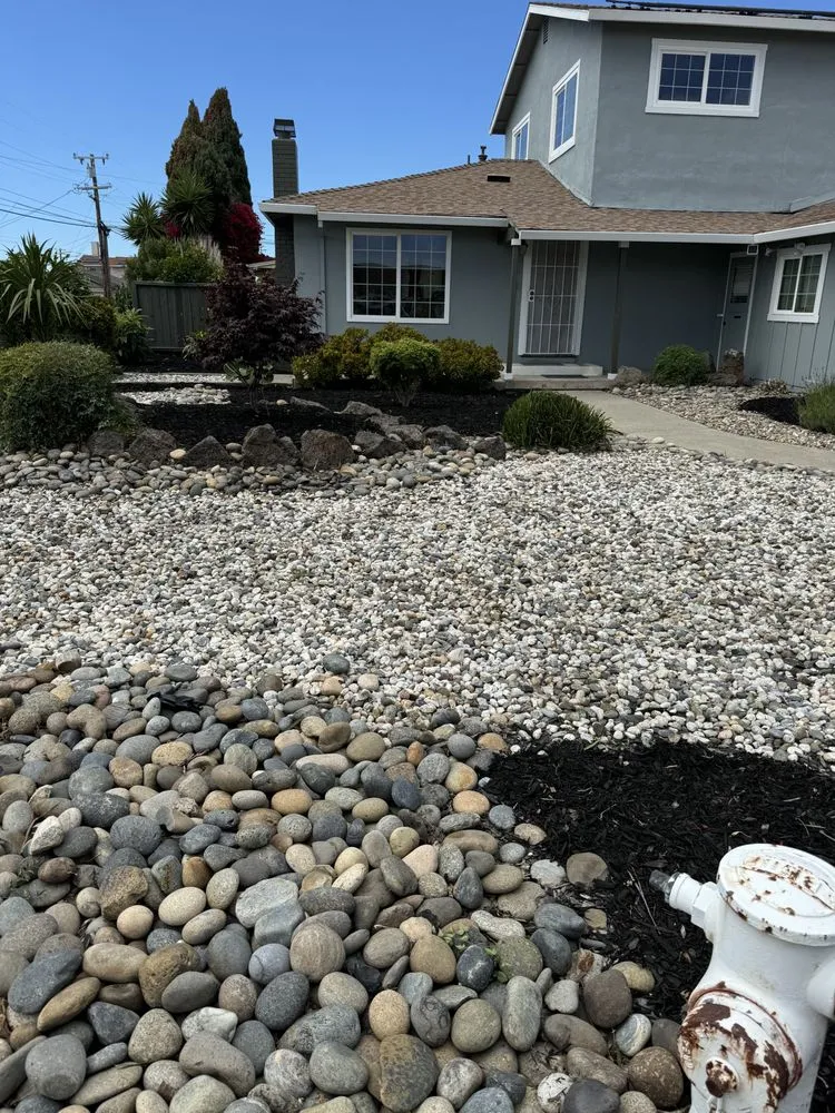 Top-rated residential landscaping for beautiful yards in Newark, CA by Malagon Legacy Landscaping