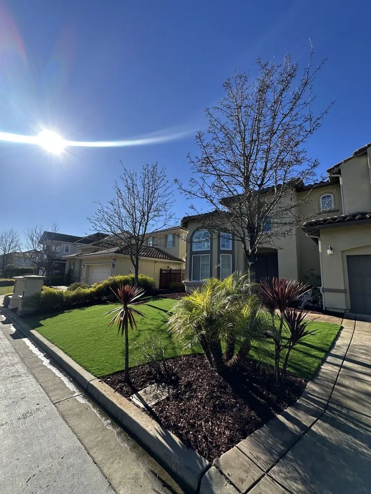 Affordable landscape installation near you in Newark, CA by Malagon Legacy Landscaping