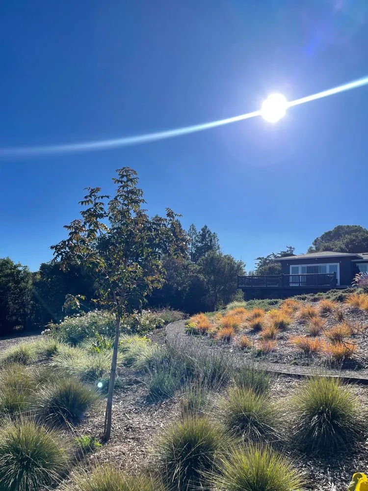 Local lawn mowing service in Newark, CA - Malagon Legacy Landscaping