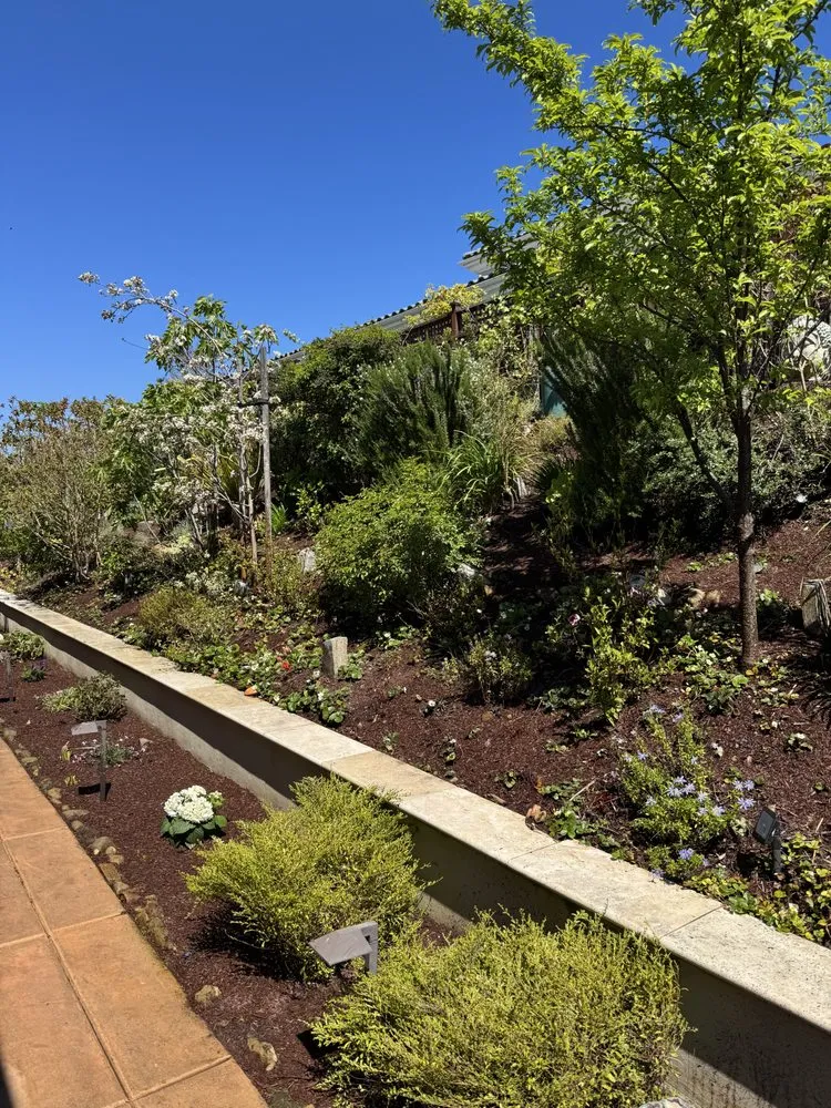 Custom lawn mowing service with custom design in Newark, CA by Malagon Legacy Landscaping