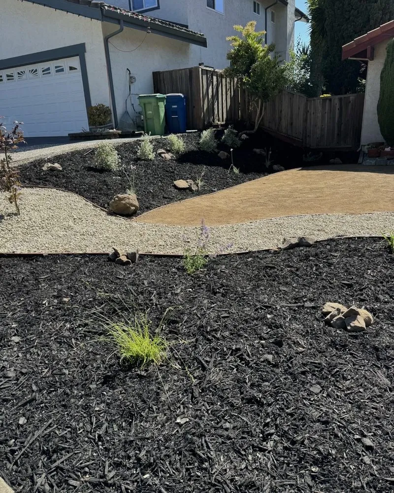 Expert garden landscaping in Newark, CA - Malagon Legacy Landscaping