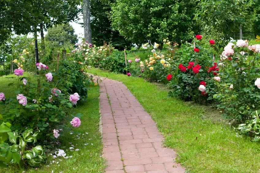 Expert yard cleanup service for homes across Malakoff, TX - Malakoff Nursery & Garden Center