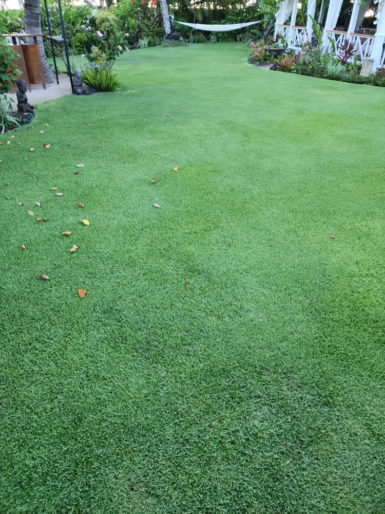 Custom lawn care service experts serving Kailua, HI - Malama Aina Landscape and Masonry Design