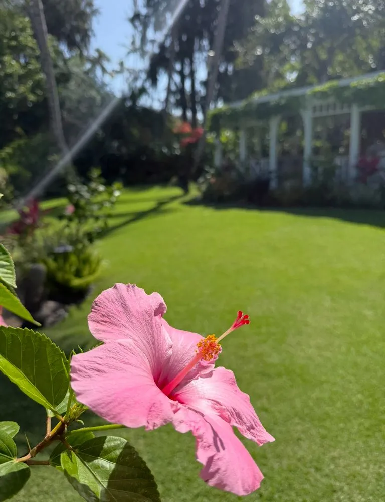 Local lawn mowing service in Kailua, HI - Malama Aina Landscape and Masonry Design