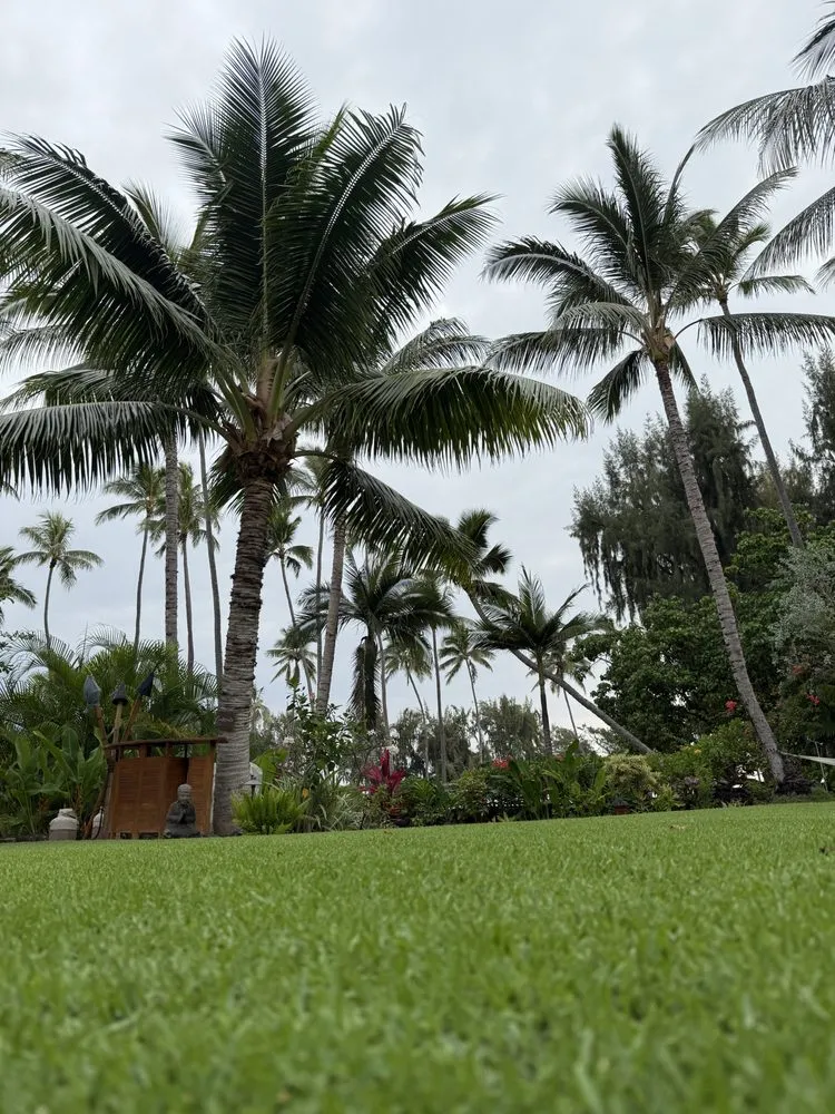 Custom lawn care service experts serving Kailua, HI - Malama Aina Landscape and Masonry Design