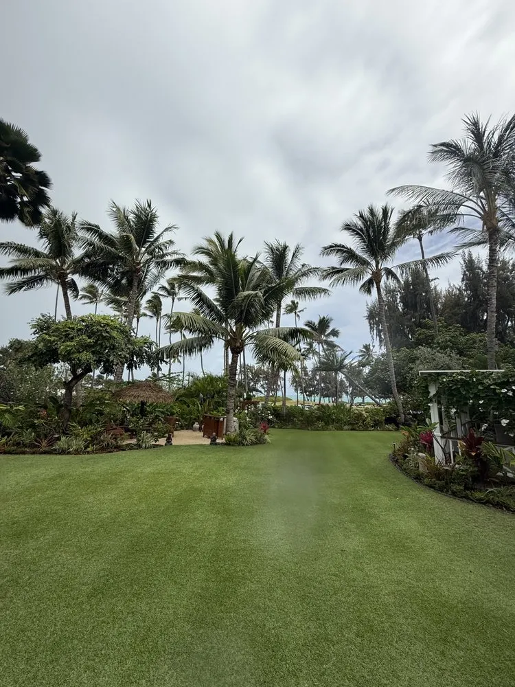 Reliable outdoor landscaping in Kailua, HI by Malama Aina Landscape and Masonry Design