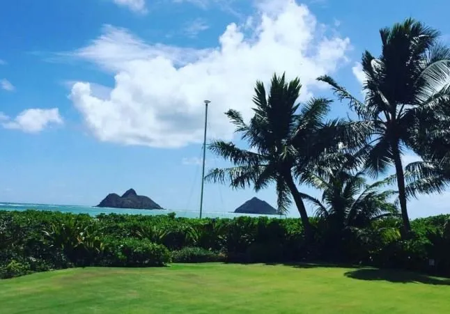 Local landscape design for year-round maintenance across Kailua, HI - Malama Aina Landscape and Masonry Design