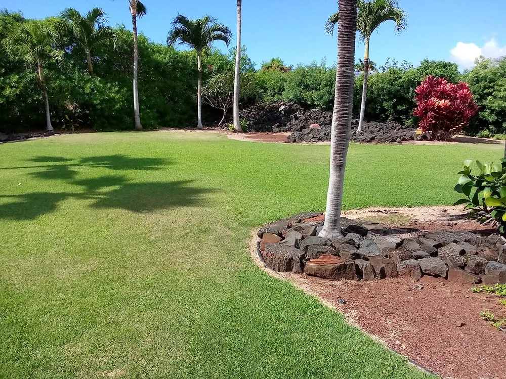 Professional landscaping services for homes across Captain Cook, HI - Malama Ai'na Landscaping