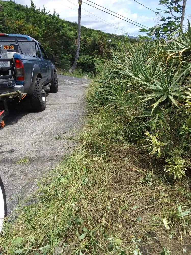 Affordable outdoor landscaping for outdoor upgrades across Captain Cook, HI - Malama Ai'na Landscaping