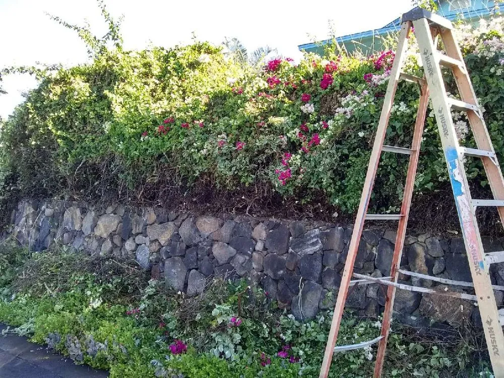 Local yard maintenance in Captain Cook, HI by Malama Ai'na Landscaping