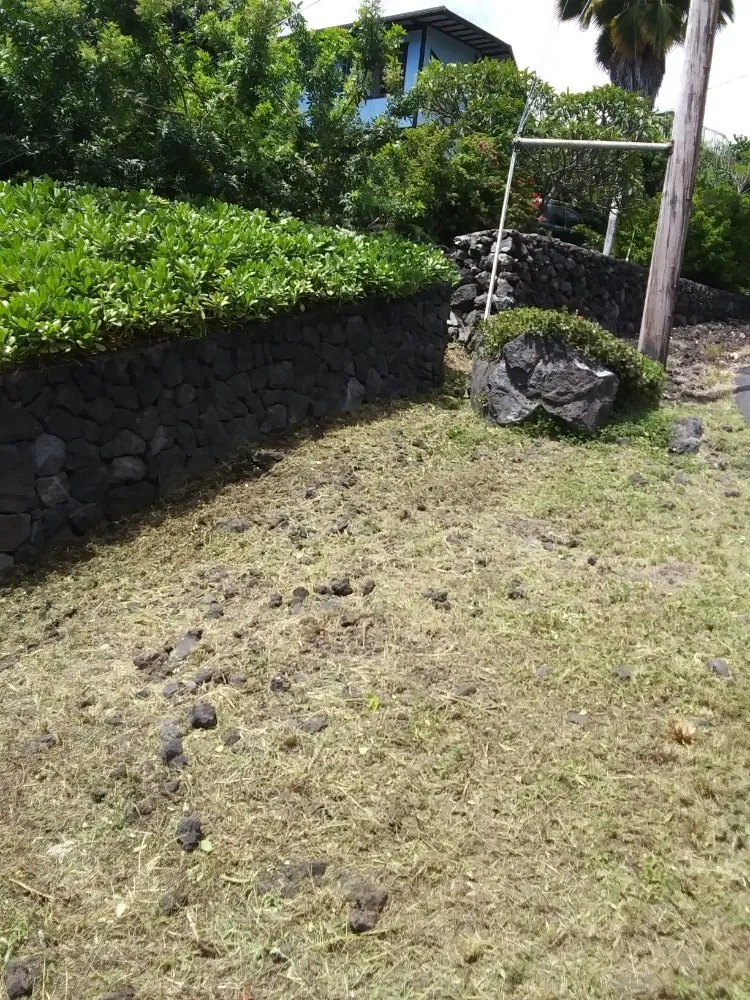 Local landscape design in Captain Cook, HI by Malama Ai'na Landscaping
