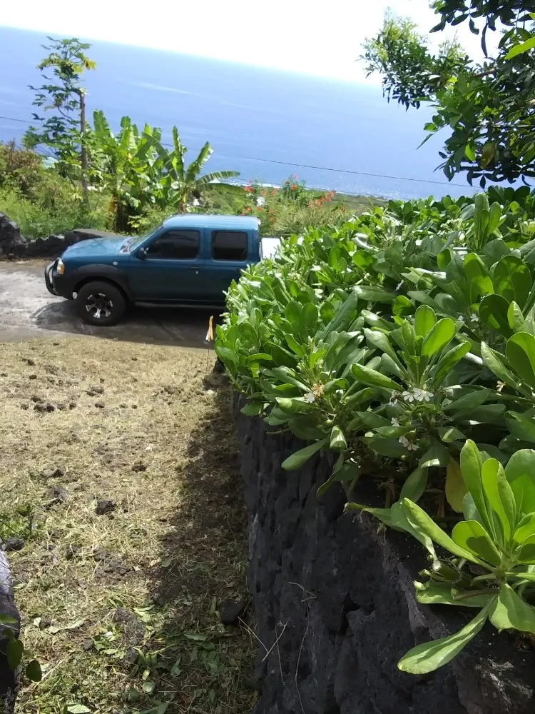 Professional lawn care service with custom design in Captain Cook, HI by Malama Ai'na Landscaping
