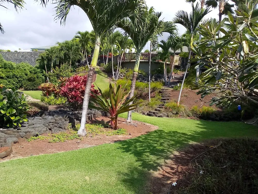 Top-rated outdoor landscaping in Captain Cook, HI - Malama Ai'na Landscaping