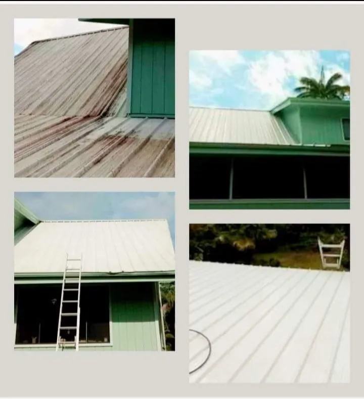 Professional lawn care service for year-round maintenance across Keaau, HI - Malama Services 808