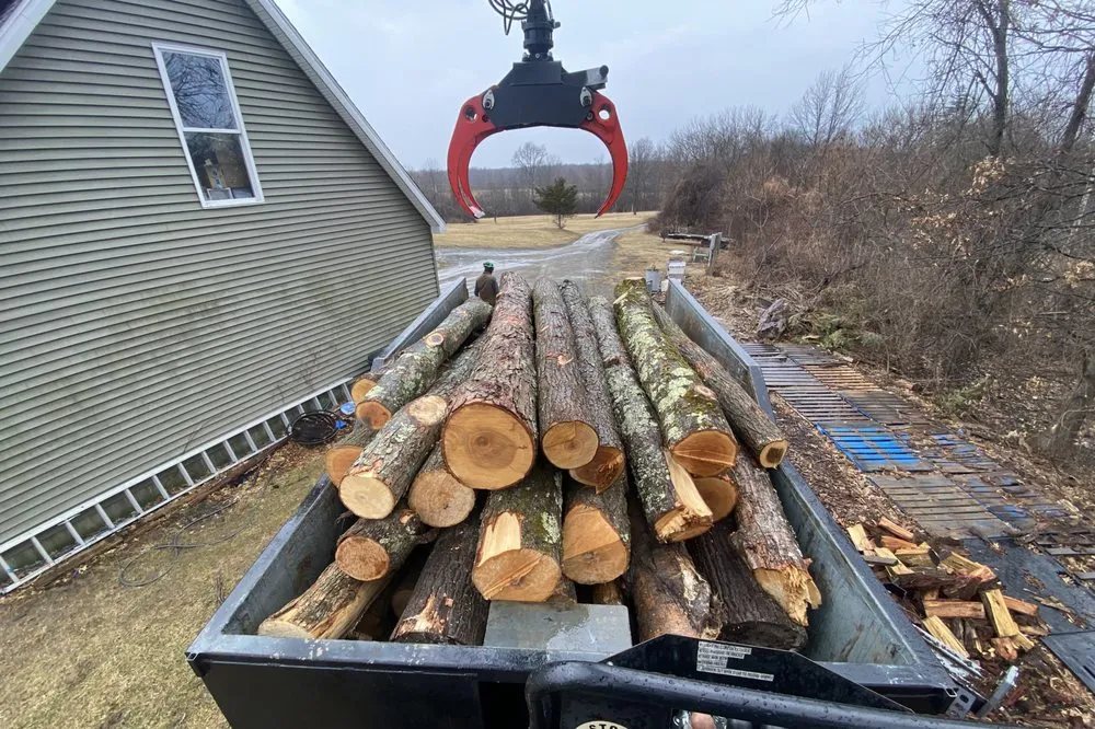 Professional landscape installation in Stanfordville, NY by Malcarne Tree PHC & Landscape