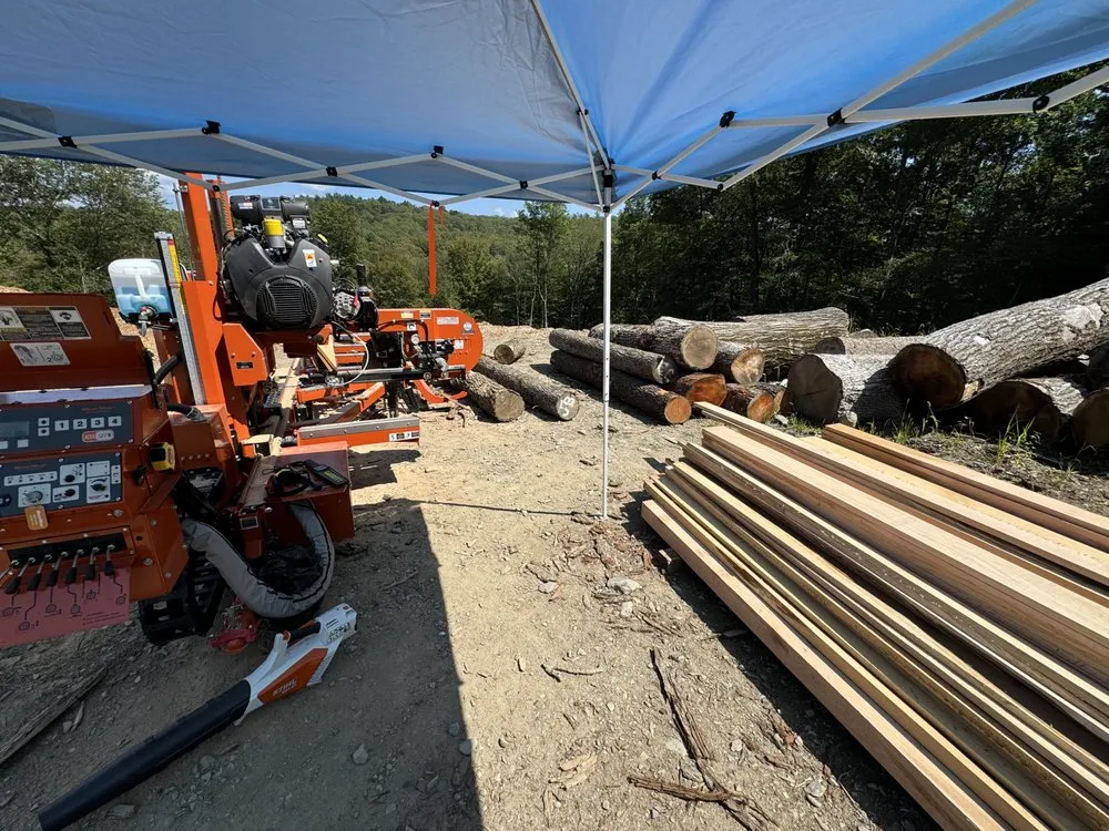 Reliable yard cleanup service experts serving Stanfordville, NY - Malcarne Tree PHC & Landscape