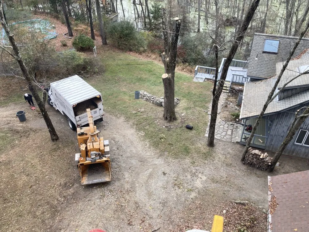 Expert yard maintenance experts serving Stanfordville, NY - Malcarne Tree PHC & Landscape