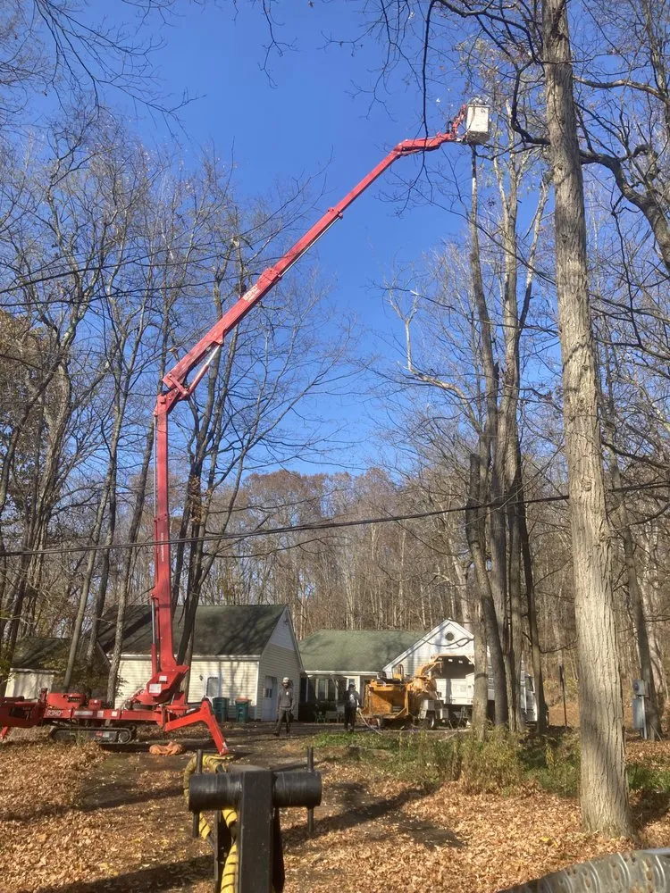 Expert garden landscaping for outdoor upgrades across Stanfordville, NY - Malcarne Tree PHC & Landscape
